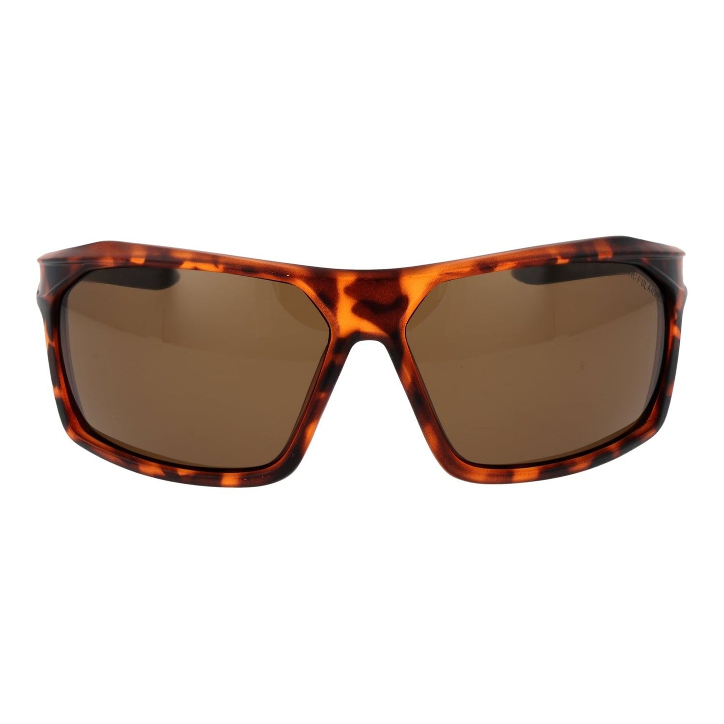 Champion Ochelari de soare CU5155-65C03