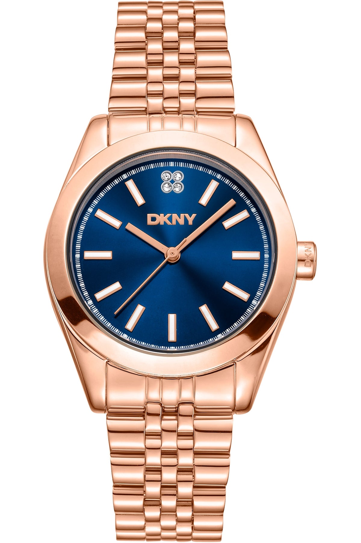 Dkny Ceas de mână DK1L029M0065