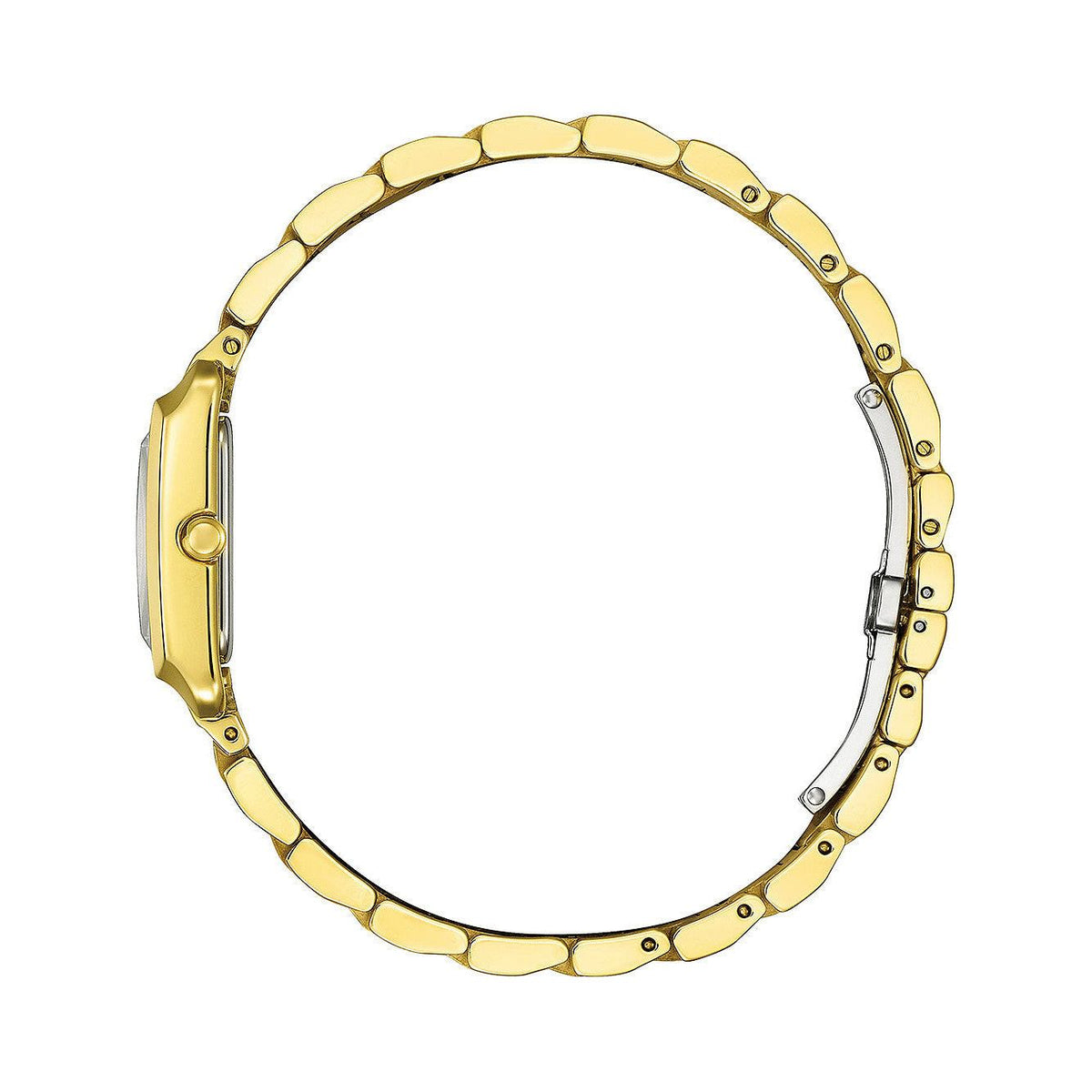 Citizen Ceas de mână EW5602-81D
