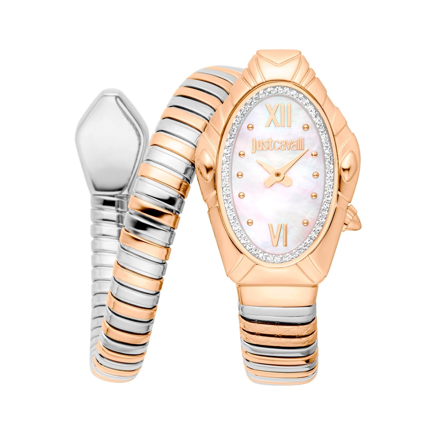 Just Cavalli Ceas de mână JC1L357M0055