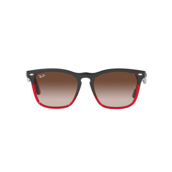 Ray Ban Ochelari de soare RB44876631135