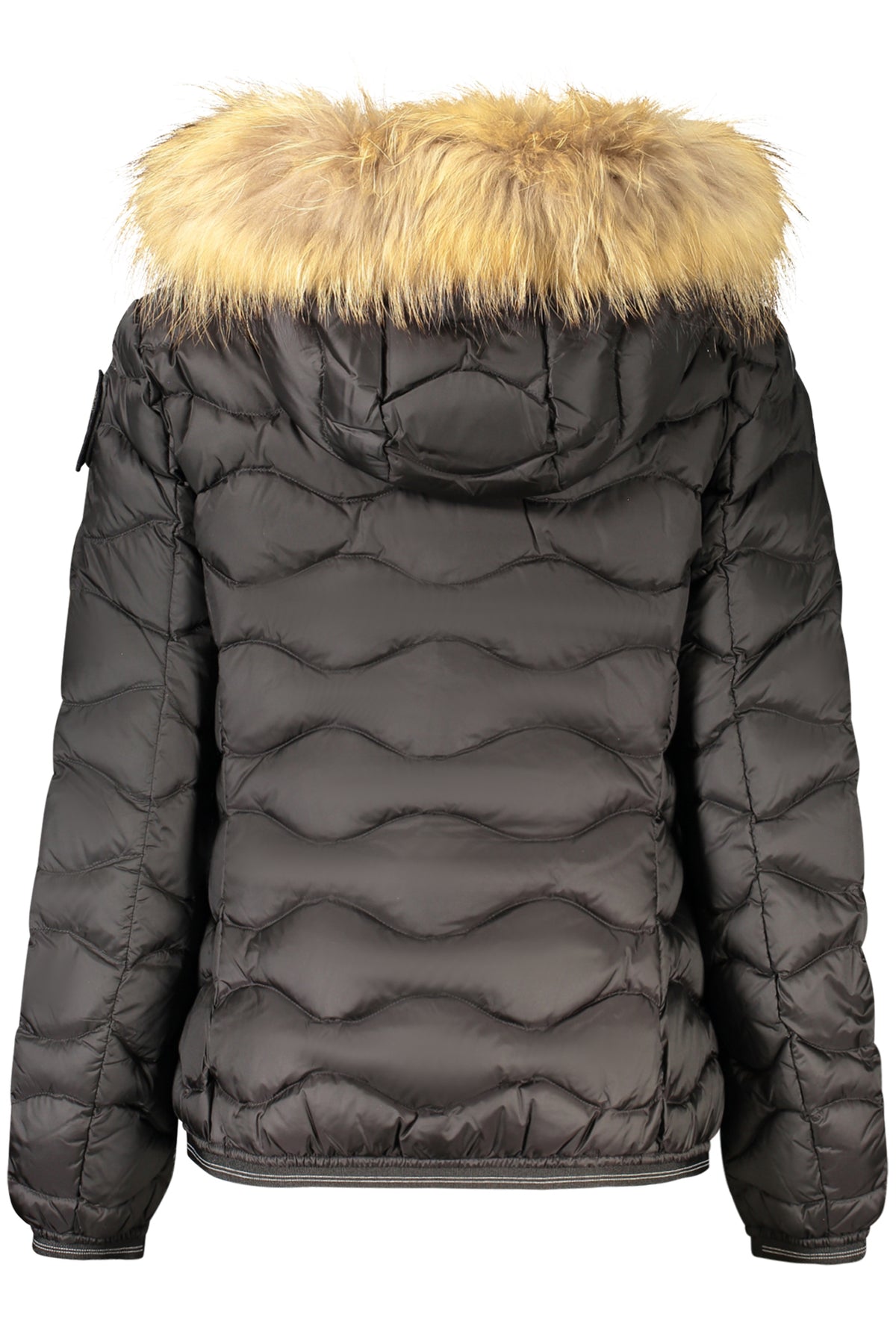 Blauer Geacă 26WBLDC03034 NEGRU