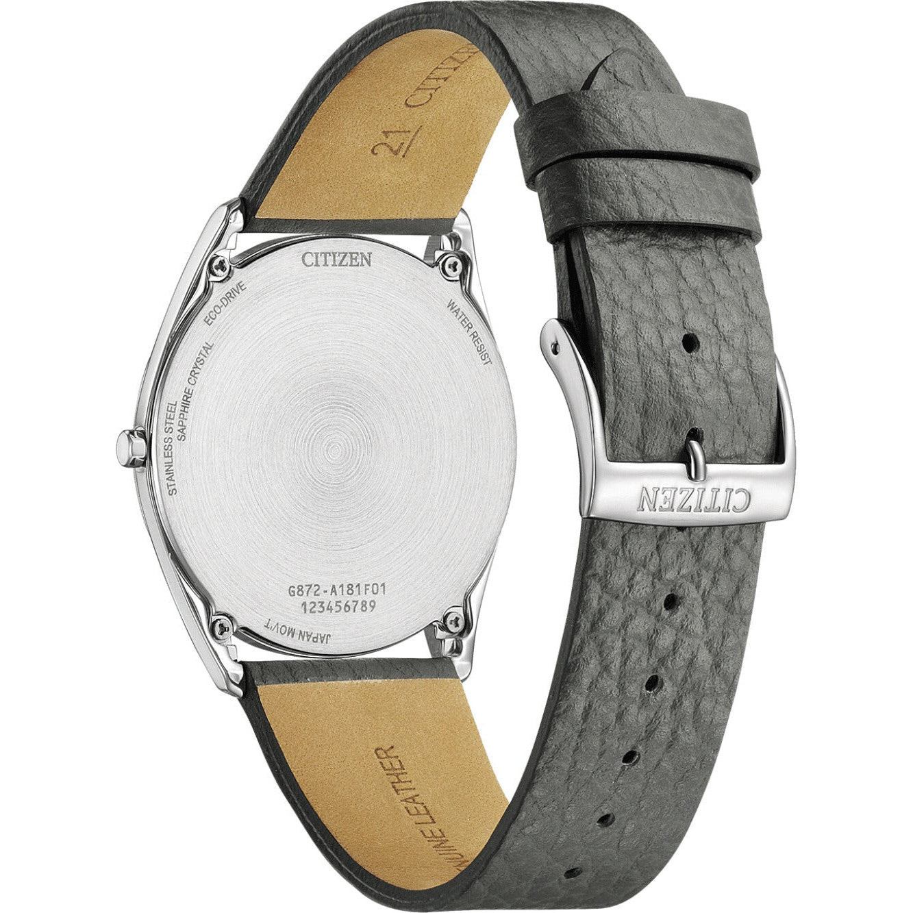 Citizen Ceas de mână AR3120-24L
