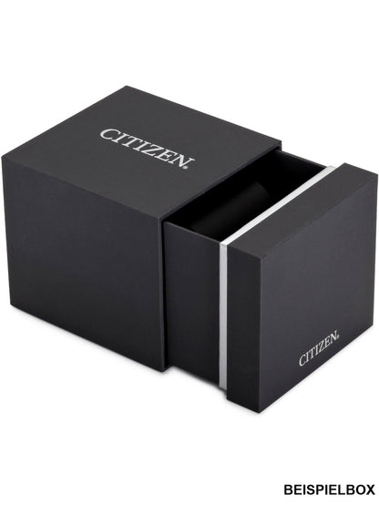 Citizen Ceas de mână BF2018-52EC