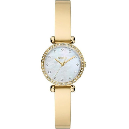Fossil Ceas de mână BQ3895