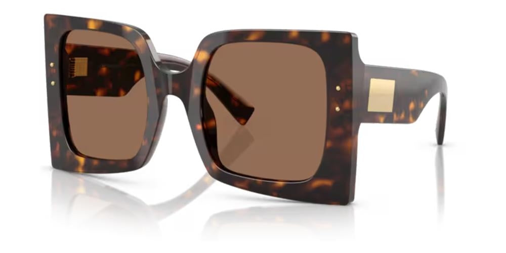 Dolce & Gabbana Ochelari de soare DG 4490_502-73_53