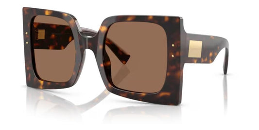 Dolce & Gabbana Ochelari de soare DG 4490_502-73_53