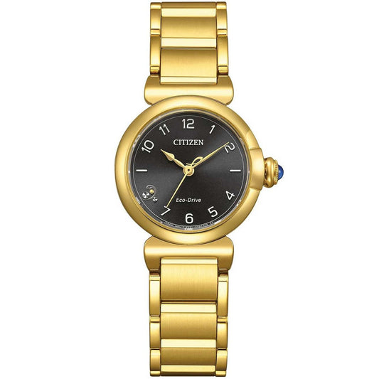 Citizen Ceas de mână EM1132-88H