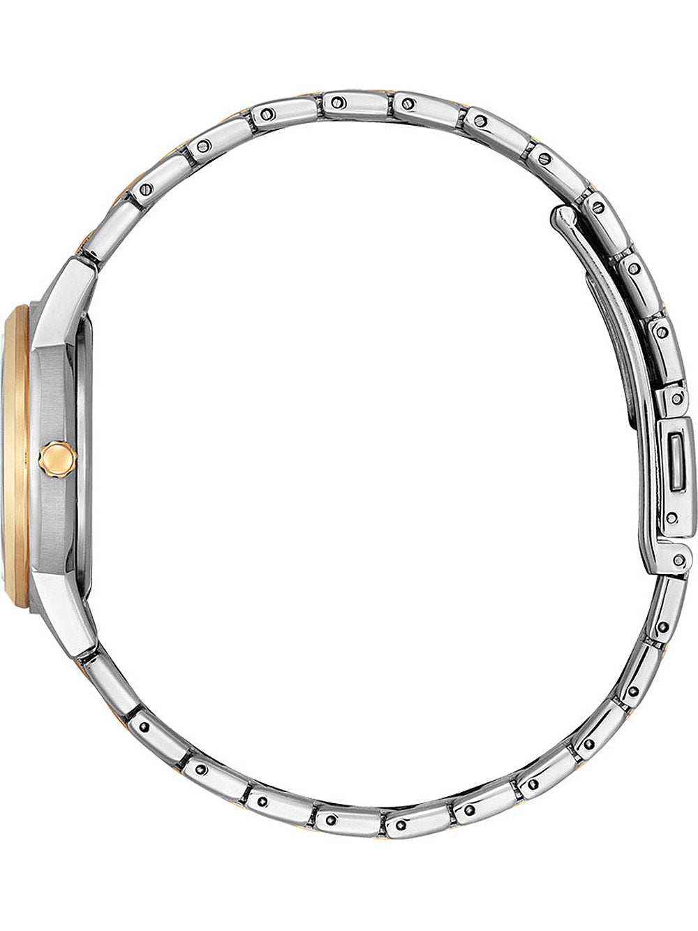 Citizen Ceas de mână FE1246-85A