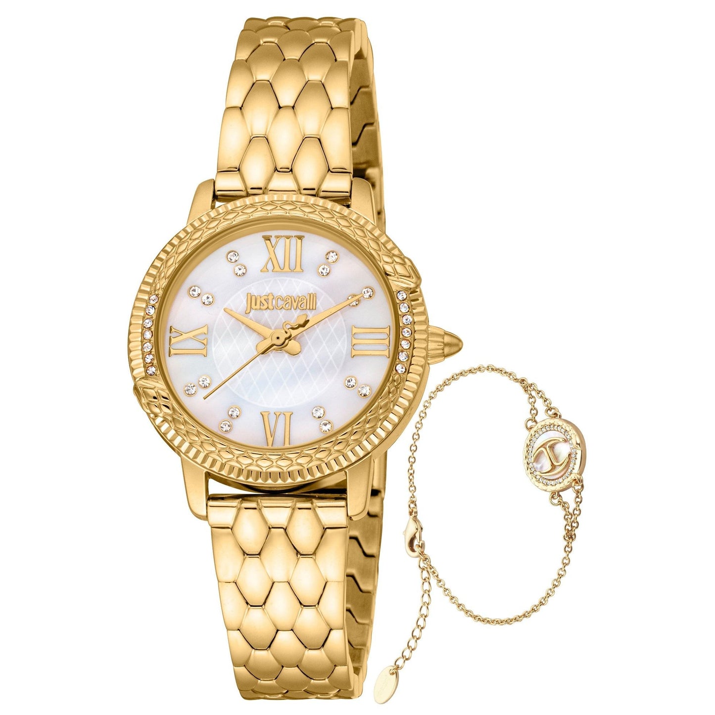 Just Cavalli Time Ceas de mână JC1L276M0055