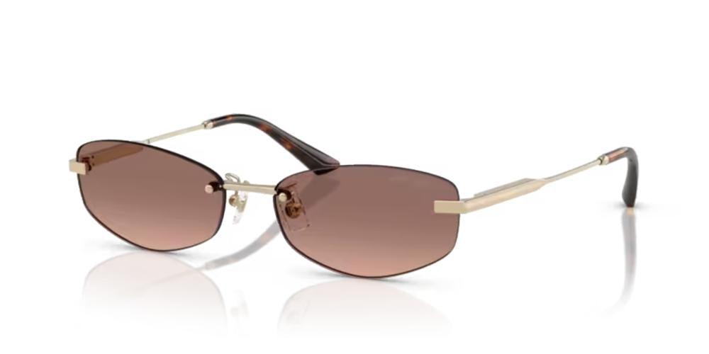 Jimmy Choo Ochelari de soare JC 4013D_300613_57