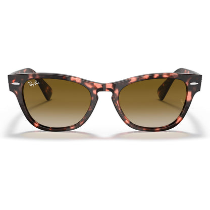 Ray Ban Ochelari de soare RB2201-133451