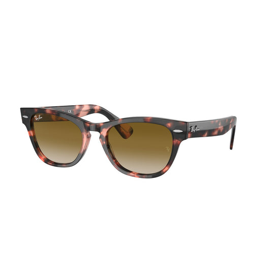 Ray Ban Ochelari de soare RB2201-133451