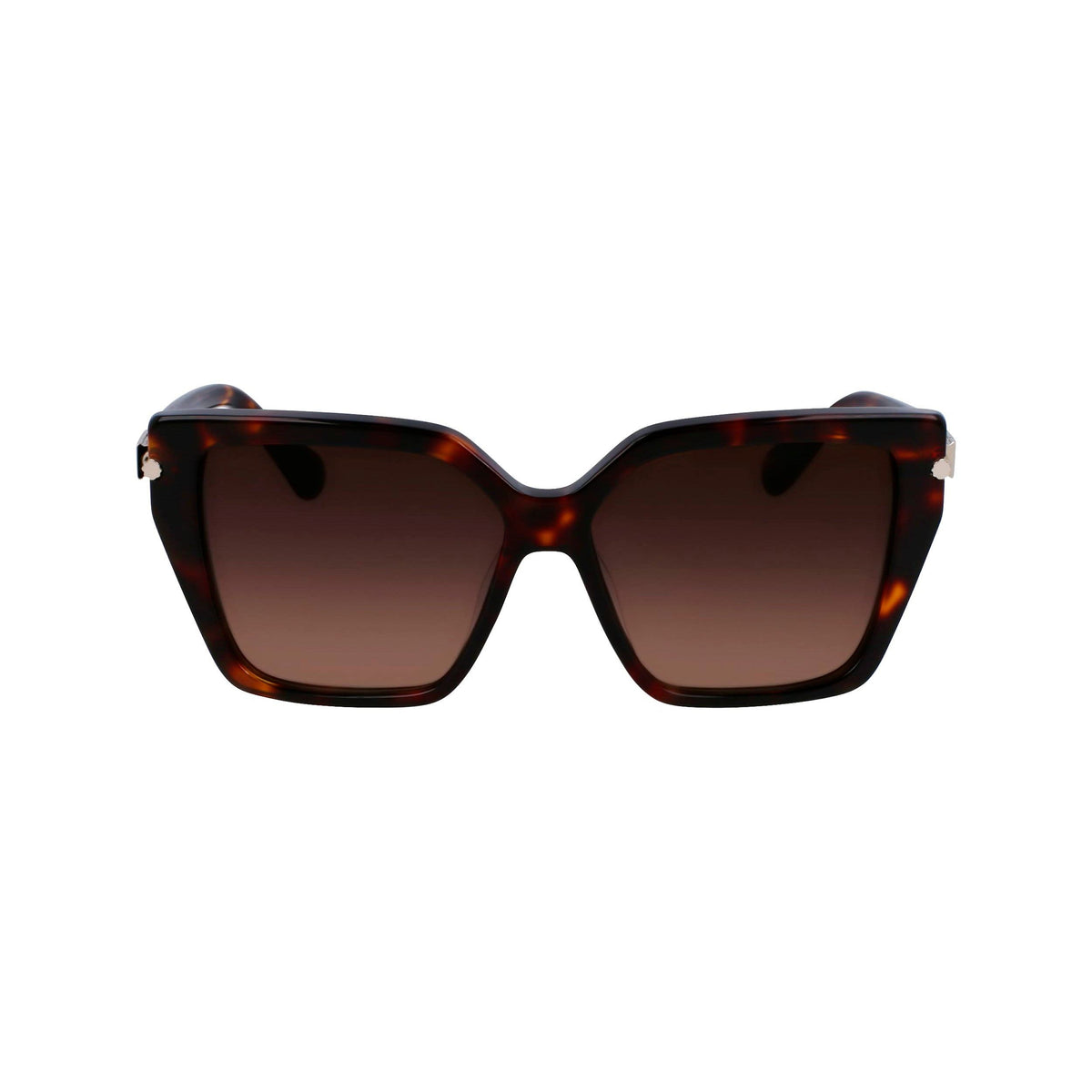 Ferragamo Ochelari de soare SF1106S-242