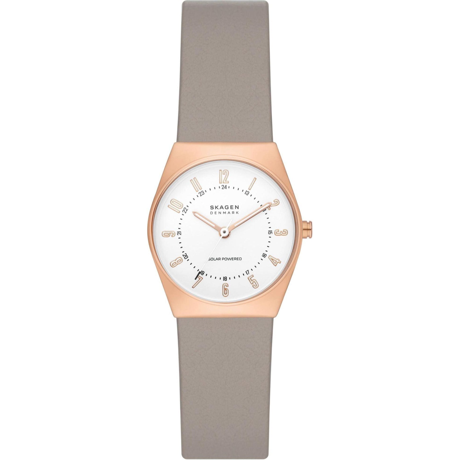 Skagen Denmark Ceas de mână SKW3079