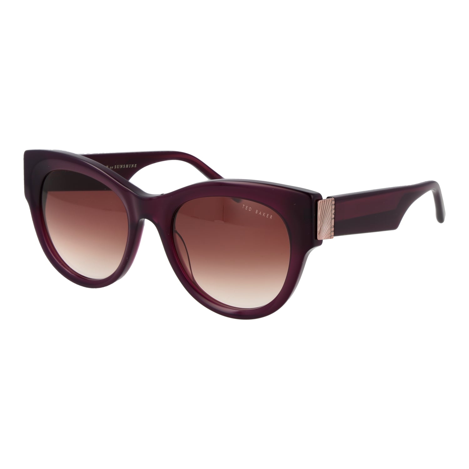 Ted Baker Ochelari de soare TB1766 52739