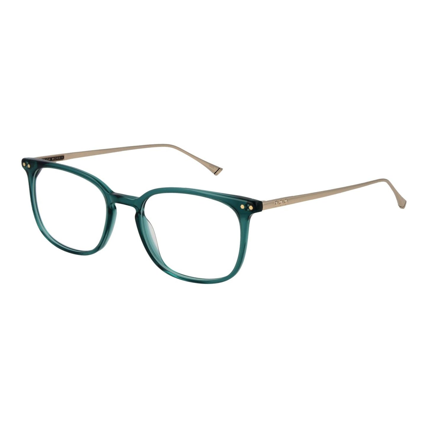 Taylor Morris Rame ochelari de vedere TM06 49C4