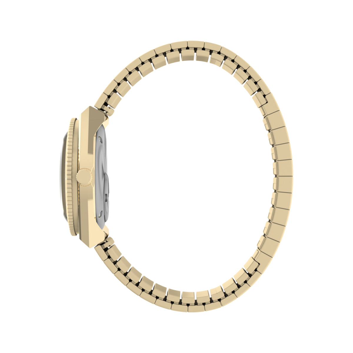 Timex Ceas de mână TW2Y57500