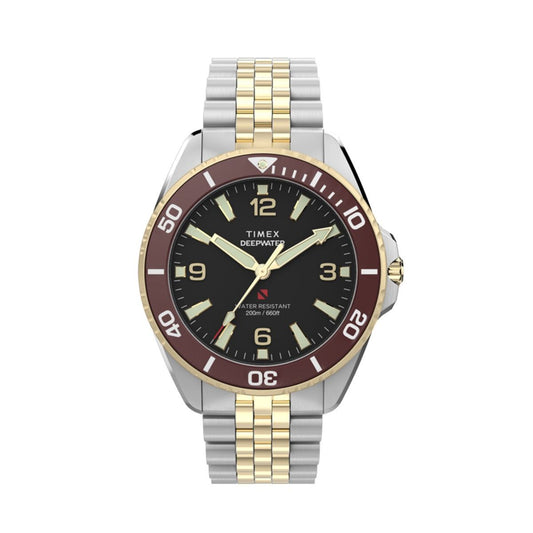 Timex Ceas de mână TW2Y64700