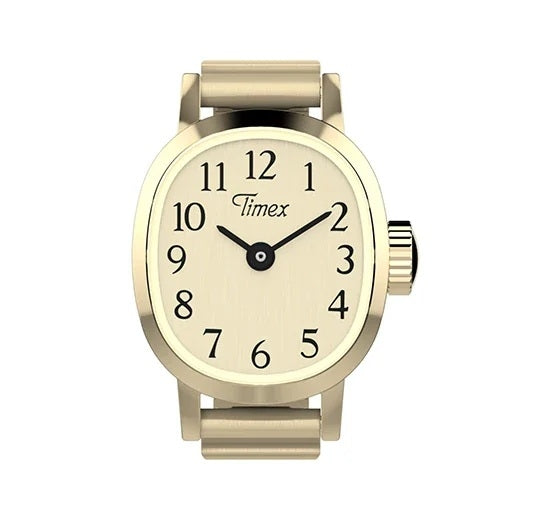 Timex Ceas de mână TW2Y70800