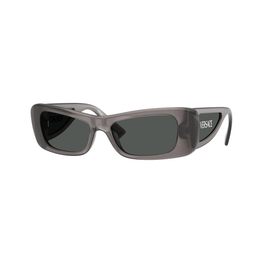 Versace Ochelari de soare VE4481-550287