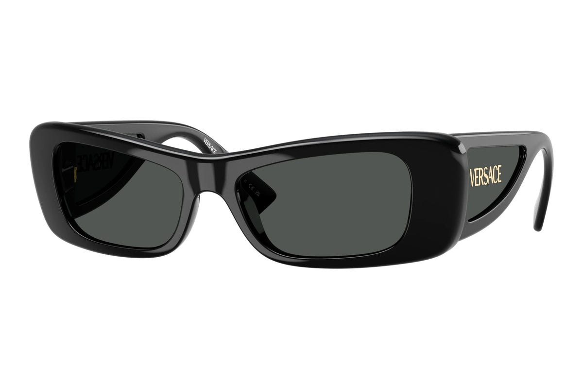 Versace Ochelari de soare VE4481-GB1-87