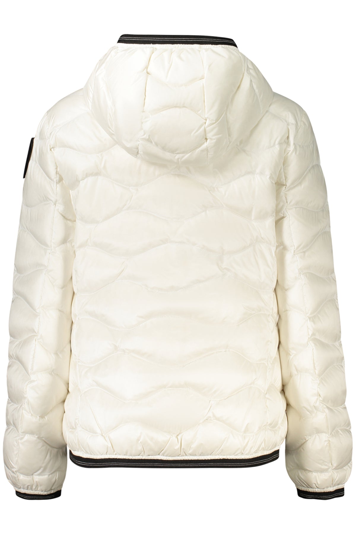 Blauer Geacă 26WBLDC03033 ALB