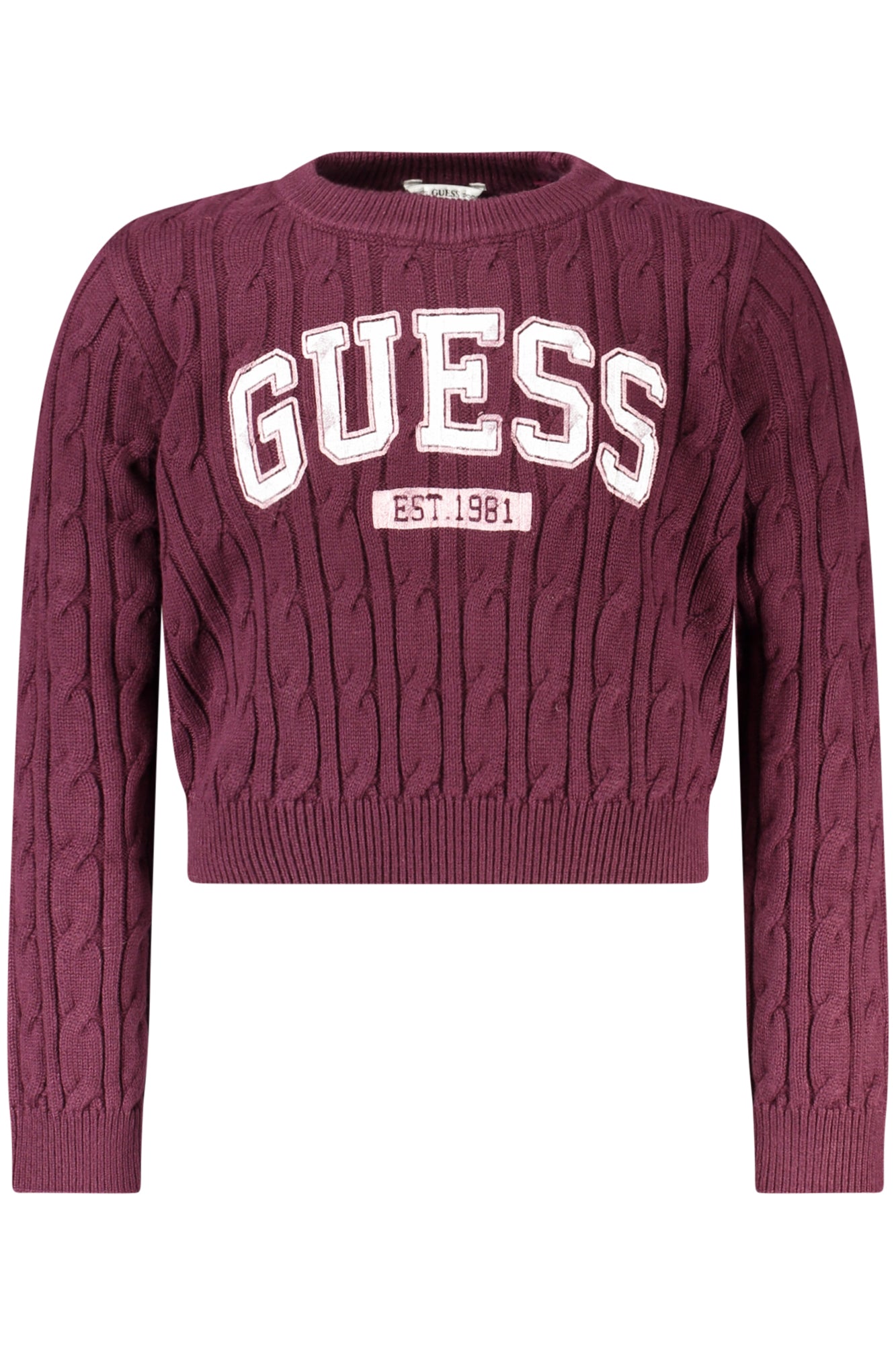 Guess Jeans Pulover J6YR11Z0843 VIOLET
