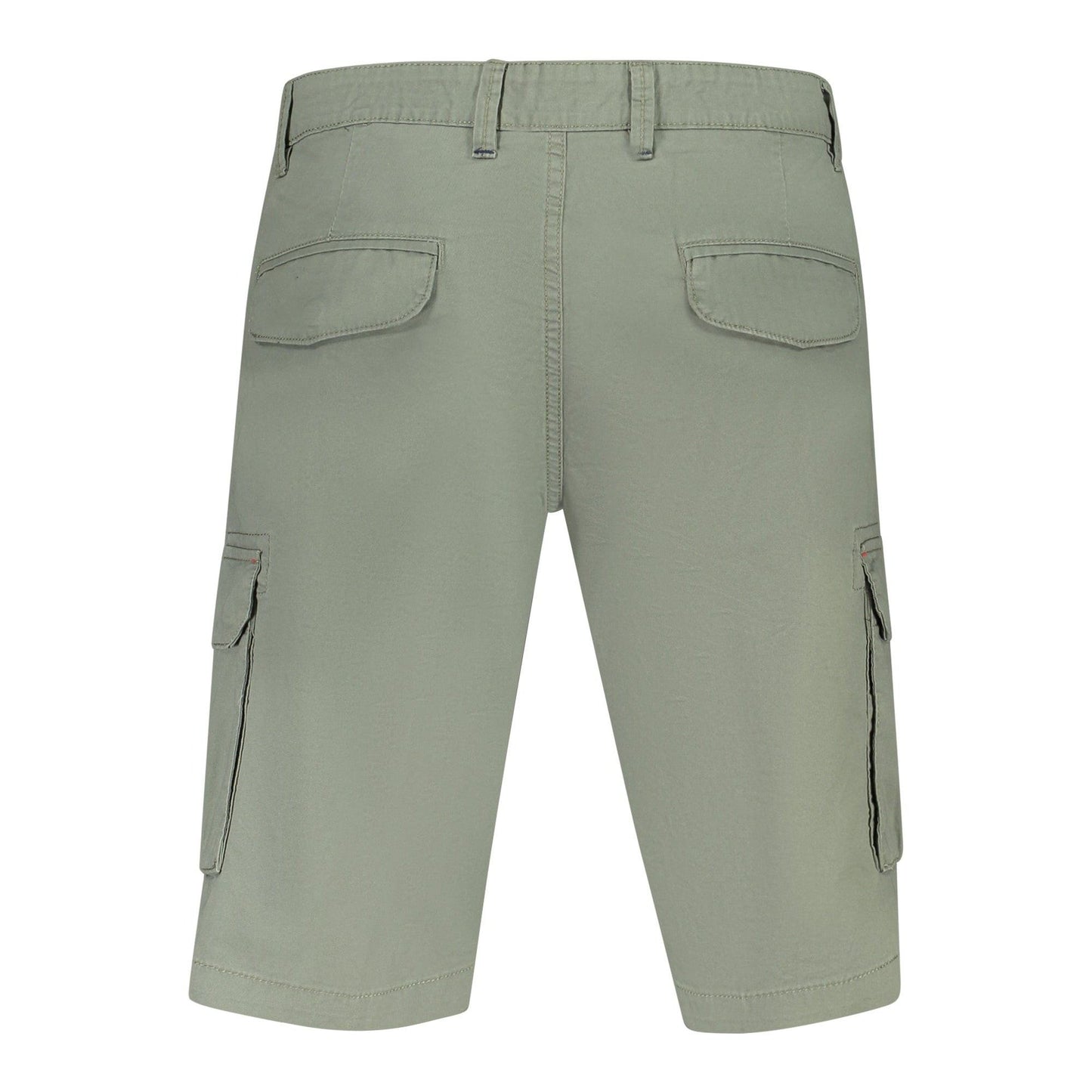 Norway 1963 Pantaloni scurți 838521 VERDE
